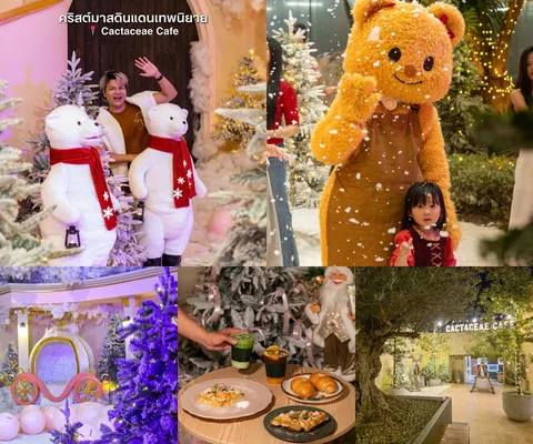 ภาพรีวิว Cactaceae Cafe • Christmas Fairyland