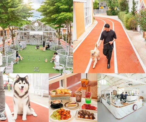 ภาพรีวิว Dog’s Paw