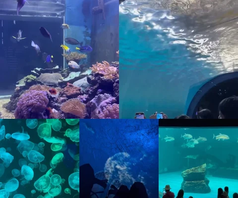 ภาพรีวิว Bangsaen Aquarium • มหาวิทยาลัยบูรพา