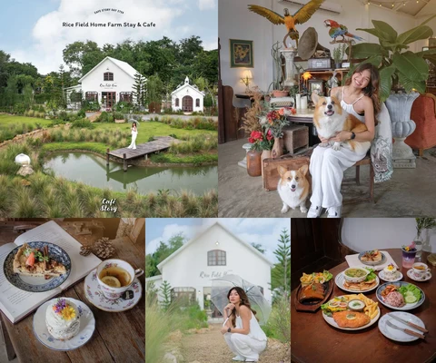 ภาพรีวิว Rice Field Home Farm Stay & Cafe • หนองแซง