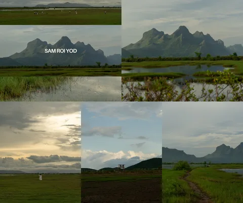 ภาพรวม 5 ภาพจากรีวิว ทุ่งสามร้อยยอดด้านเหนือ โดย @1.dayz