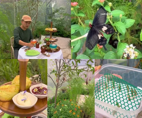 ภาพรีวิว Little Stove Cafe • ชุดน้ำชาในเรือนผีเสื้อ