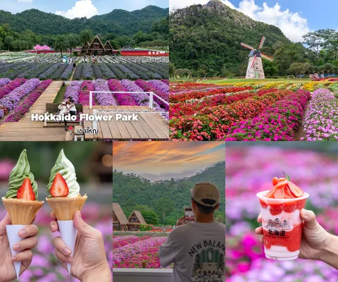ภาพรีวิว Hokkaido Flower Park Khaoyai