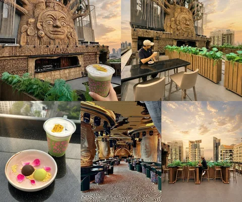 Safari Matcha Bar Bangkok