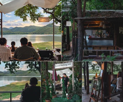 ภาพรวม 5 ภาพจากรีวิว อาบป่า 101